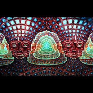 Meet your Posher, Rocco